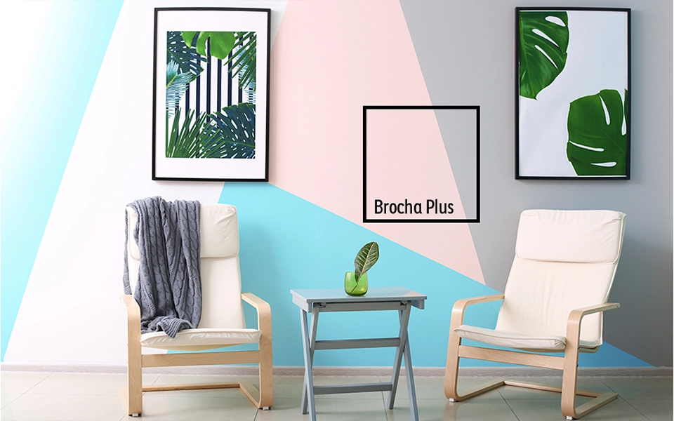 Brocha Plus