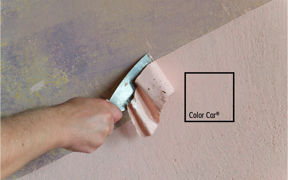 Removedor especial Color Car