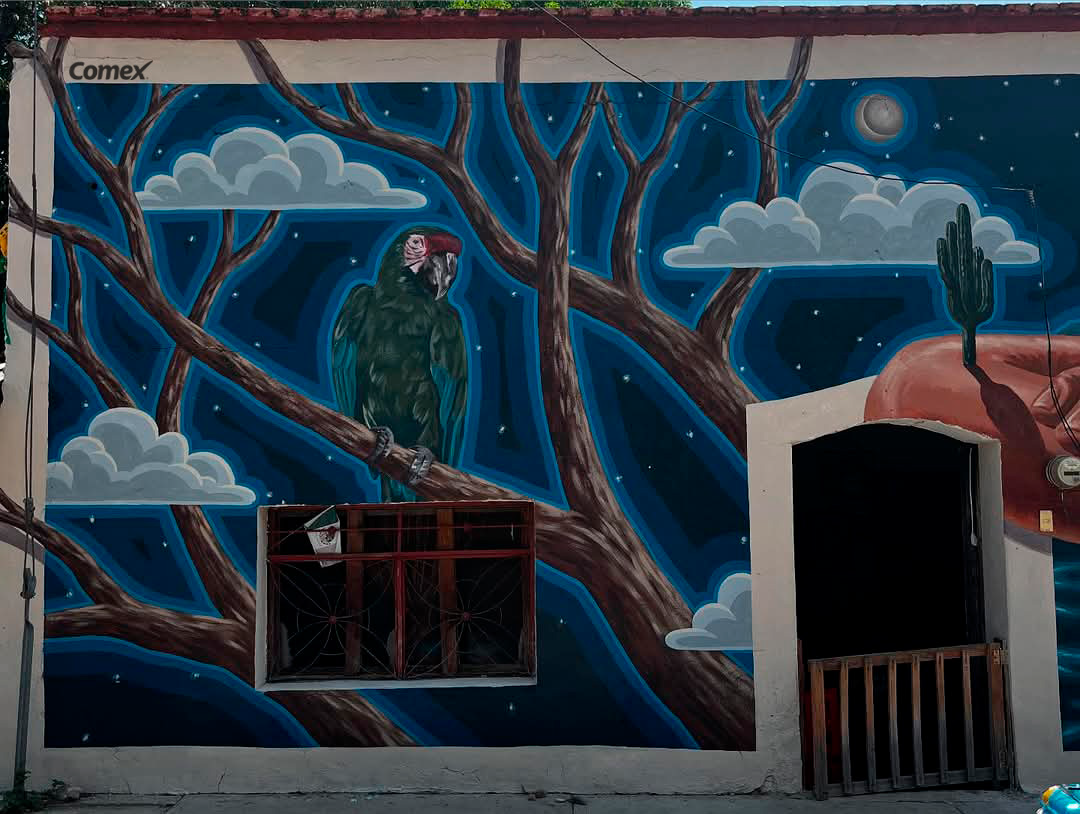 Imagen 2